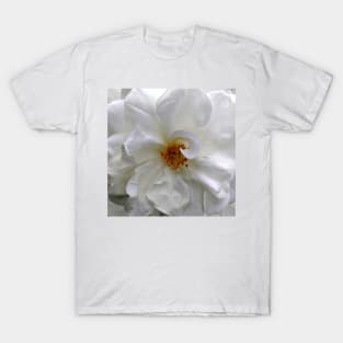 Curly White Rose Flower macro T-Shirt